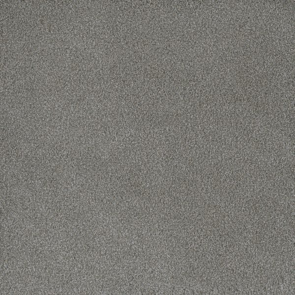 PALMETTO I  