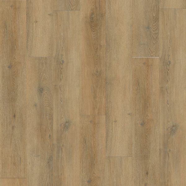 GALLATIN PLUS  