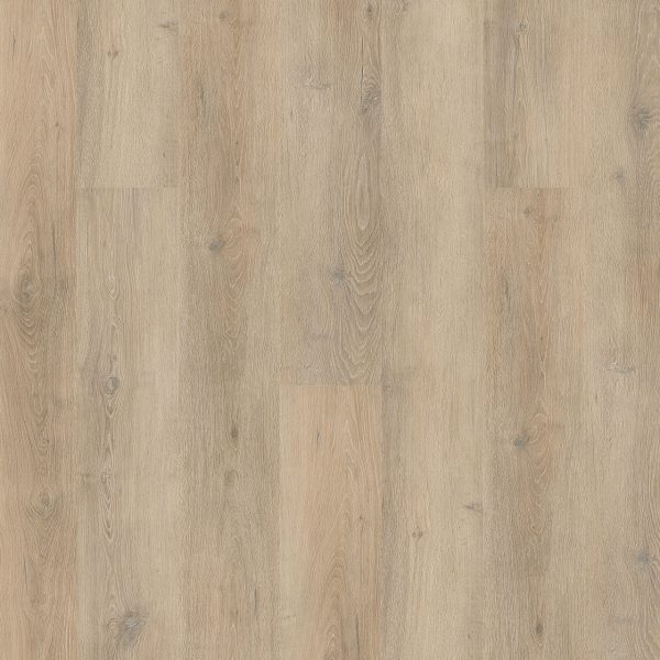 NEW STANDARD PLUS  