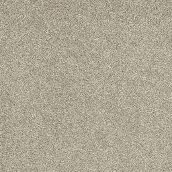 ROCK SOLID I  