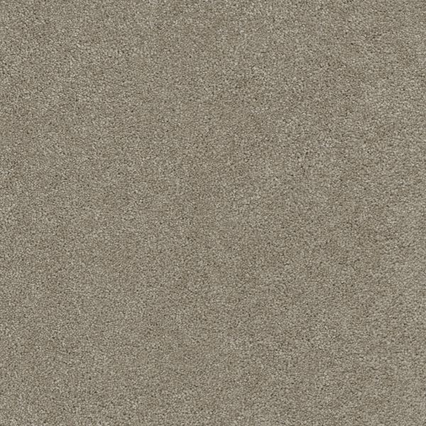 ROCK SOLID I  