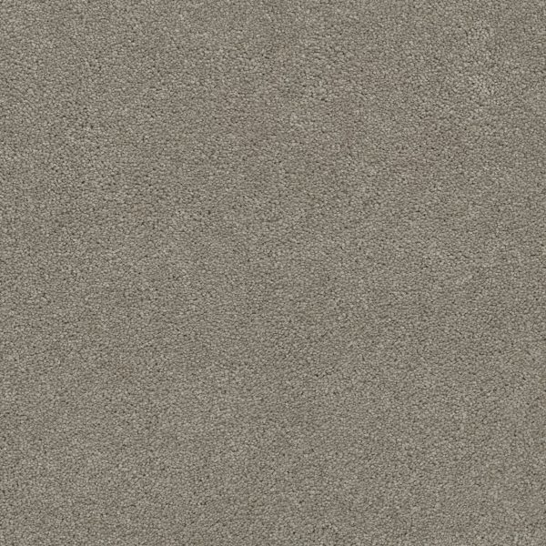 ROCK SOLID II  