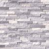 Alaskan Gray Splitface Interlocking Wall Tile  