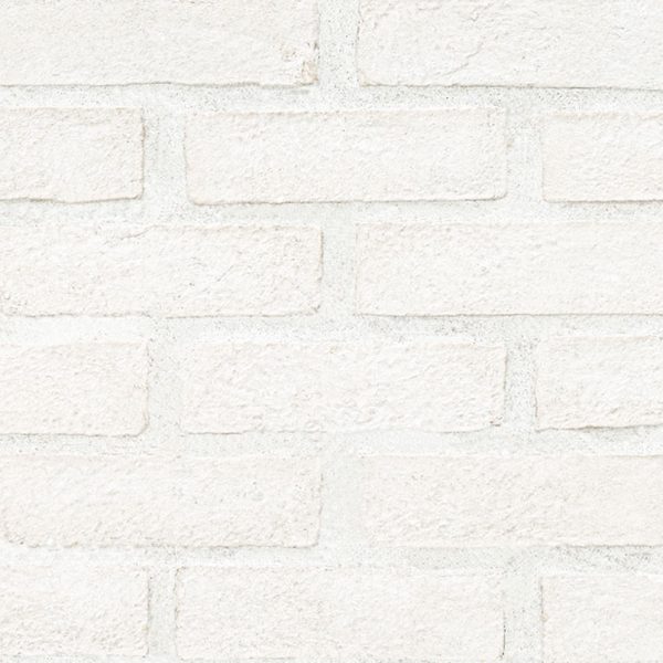 Alpine White Reclaimed Clay Brick  