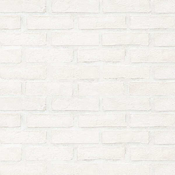 Alpine White Reclaimed Clay Brick  