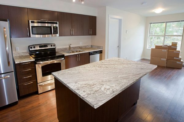 Arctic Sand Granite  