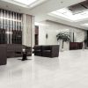 Aria Ice Porcelain Tile  