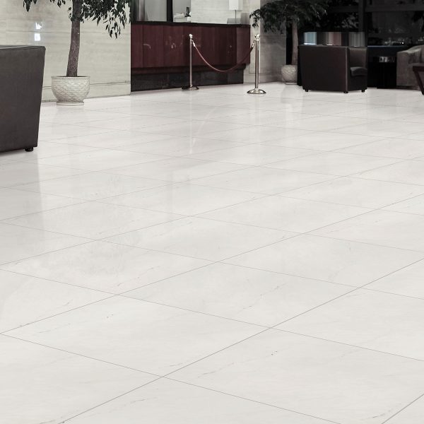 Aria Ice Porcelain Tile  