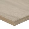 Aspenwood Ash Wood Look Tile  