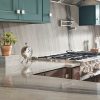 Audacia Quartzite  