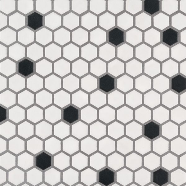Black And White 1” Hexagon Mosaic Tile  