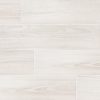 Blanca Porcelain Wood Tile  