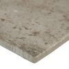 BRICKSTONE TAUPE 5X10 BRICK TILE  