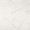 BRIGHTON GREY 12X24  
