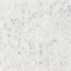 Calacatta Blanco Pattern Polished Tile  