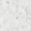 Calacatta Blanco Pattern Polished Tile  