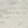 Calacatta Gold Tile 2x4  