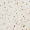 Calacatta Gold Matte 2" Hexagon  