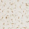 Calacatta Gold Matte 2" Hexagon  