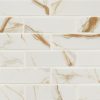 Calacatta Gold Matte 2x6 Subway Tile  