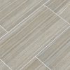 Charisma Silver Ceramic Tile  