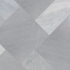 Cosmic Gray Pavers Cosmic Gray Pavers