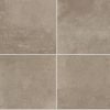 Pewter EM31 Countertop, Floor, Wall Pewter EM31 Countertop, Floor, Wall