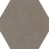 P009 Ashgrey Hexagon Matte Countertop, Floor, Part of: PTS Professional Tile Solution, Wall 