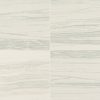 VR13 Stria Maestro Rectangle Matte Microban Countertop, Floor, Part of: TREAD Pavers Xteriors Program, Wall 