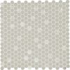 SC76 Comet Leaf Matte Wall SC76 Comet Leaf Matte Wall