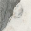 M343 Illusive Pebble Honed Countertop, Floor, Part of: Natural Stone Natural Stone Marble, Wall 
