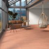 Biscuit D317 Countertop, Floor, Wall Biscuit D317 Countertop, Floor, Wall