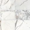 M475 Calacatta Gold Rectangle Honed Countertop, Floor, Part of: Natural Stone Natural Stone Marble, Wall 