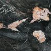 Crytos Quartzite Crytos Quartzite