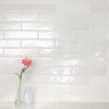 Renzo Dove Ceramic Tile 3x12  