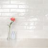 Renzo Dove Ceramic Tile 3x12  