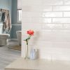 Renzo Dove Ceramic Tile 3x12  