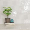 Renzo Dove 5x5 Ceramic Wall Tile  