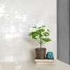 Renzo Dove 5x5 Ceramic Wall Tile  