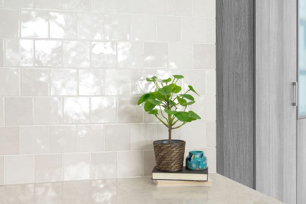 Renzo Dove 5x5 Ceramic Wall Tile  