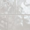 Renzo Dove 5x5 Ceramic Wall Tile  