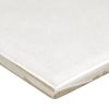 Renzo Dove Ceramic Tile 3x12  
