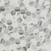 Esperanza 2" Hexagon Mosaic Tile  