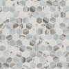 Esperanza 2" Hexagon Mosaic Tile  