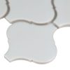 Gray Glossy Arabesque Tile  