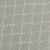 Gray Glossy Fish Scale Pattern Mosaic  