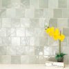 Renzo Jade Ceramic Tile 5x5  