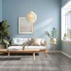 Platinum Wood Look Tile  