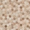 Sandhills Hexagon Mosaic Tile  