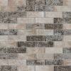 Savoy Subway Tile 2x6  